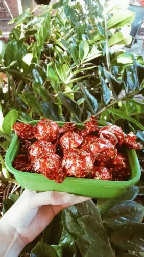 Doces para festas 