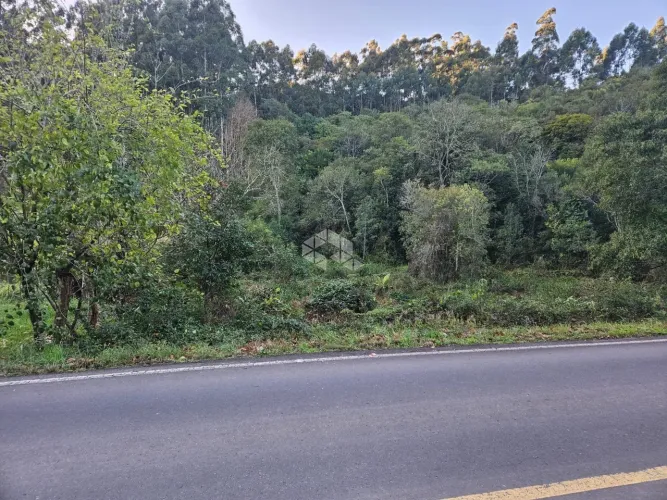 Terreno Linha São Gabriel
