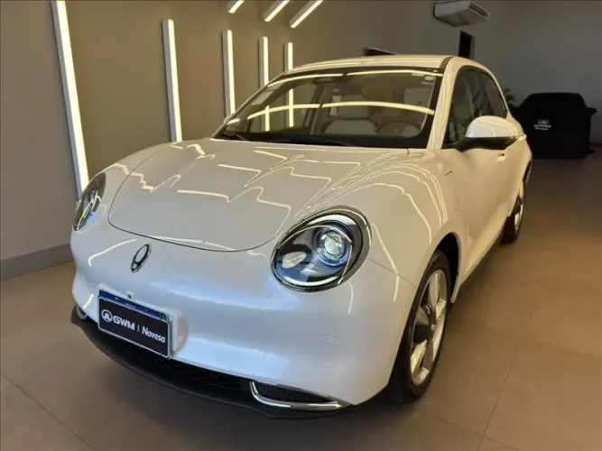 GWM Ora 03 Skin (elétrico) 2025