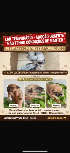 Doação responsável