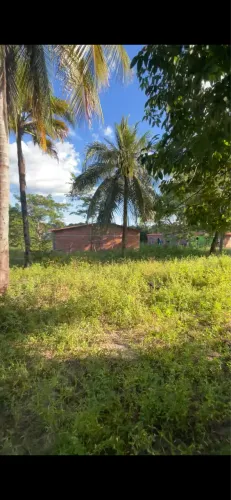OPORTUNIDADE. São José de Ribamar