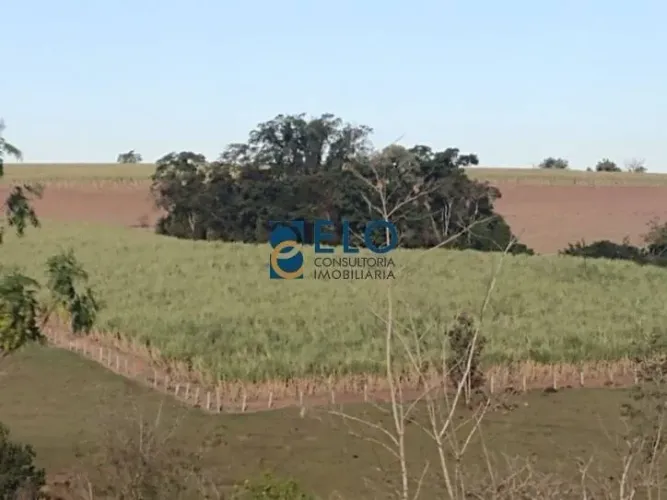 Sítio em Rio Claro/SP com Área Total: 54,93 hectares (correspondentes a 22,7 alqueires pau