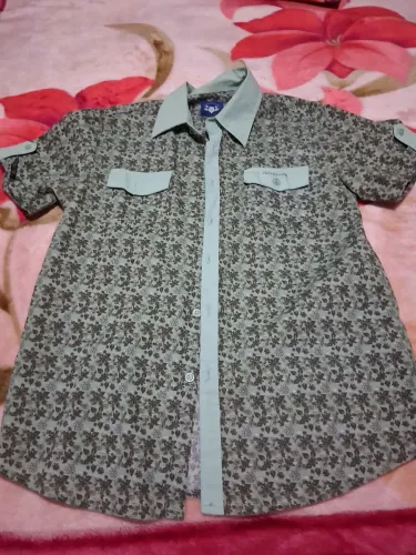 Camisa linda verde claro