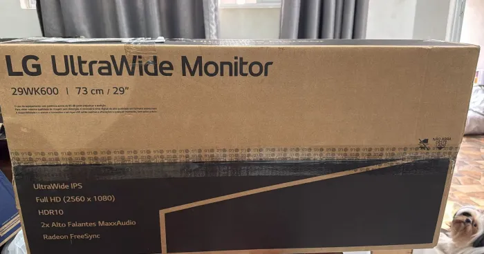 Monitor gamer