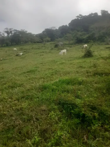 Vendo terreno mar vermelho parque alto e parte de baixo