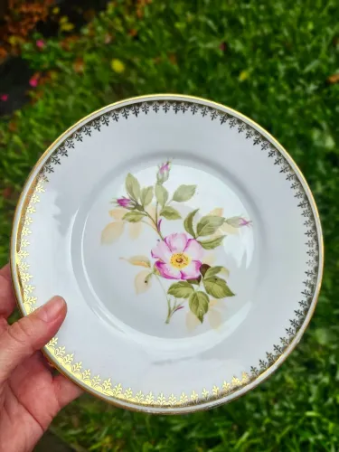 Antigo prato Porcelana Mauá linda douração