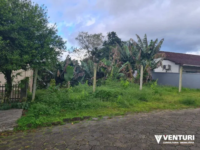 Terreno à venda, 560 m² por R$ 480.000,00 - Velha - Blumenau/SC