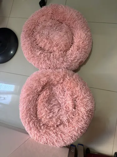 Cama Pet usada
