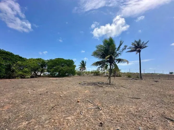 Terreno na estrada Pipa - Cabeceiras