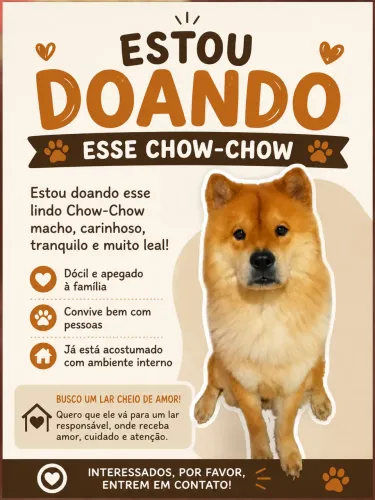 Estou doando esse chow-chow