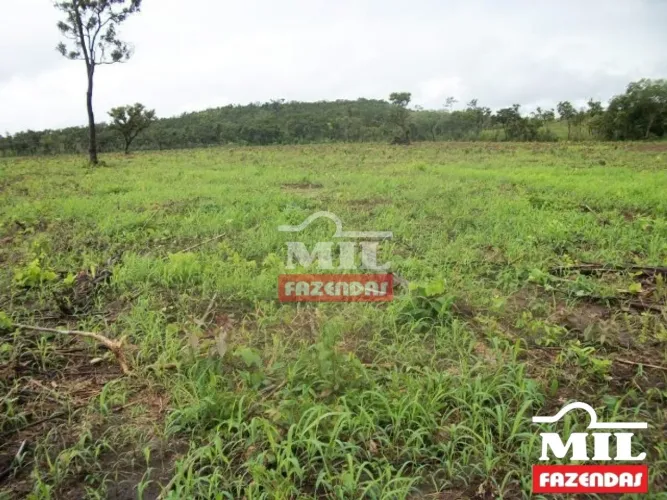 Fazenda 295 Alqueires (1.428 Hectares) Minaçu - GO