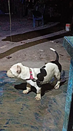 Pit monster