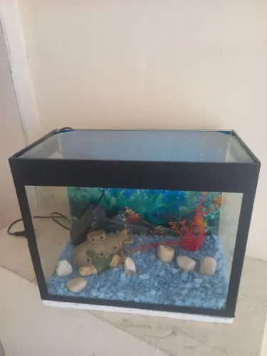 Aquário completo novo