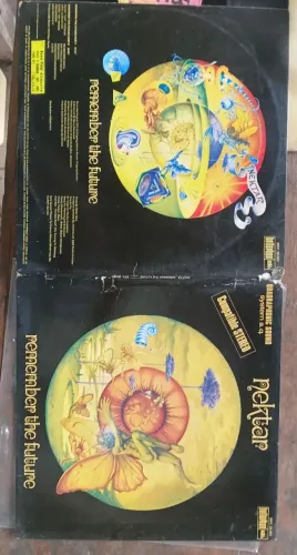 LP vinil Nektar Remember The future 1973 importado