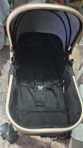 Carrinho de bebê Moisés