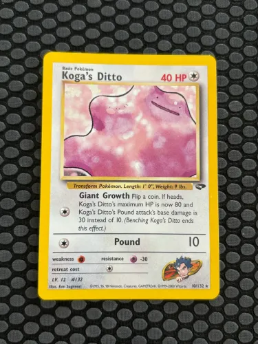 Koga?s Ditto 10/132 1995 SP+