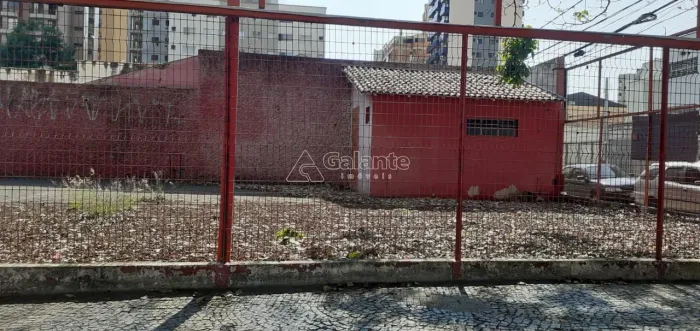terreno - Cambuí - Campinas