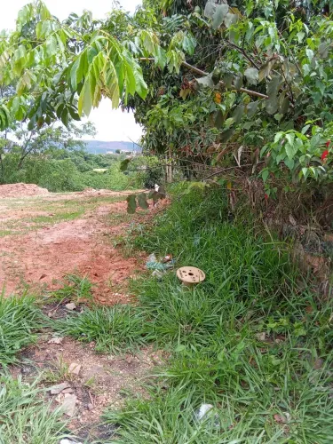 Lote de esquina área comercial