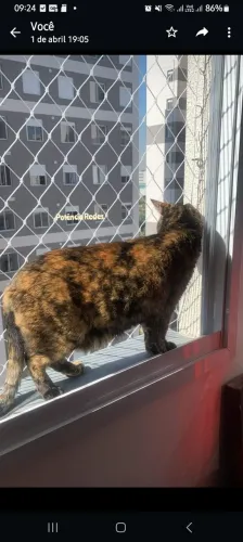 Tela de Proteção para crianças e animais domésticos