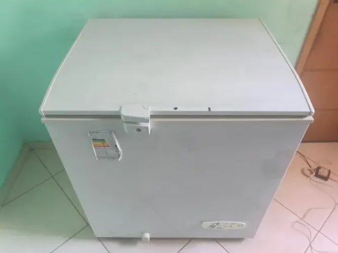 Freezer Dupla ação 127   210L