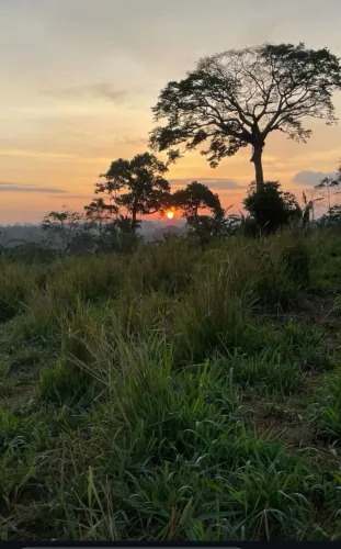 Vendo terra em frente fordlandia 