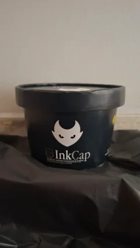 Batoque ELETRIC INK 50und