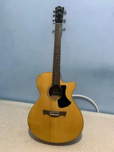 ViolãoTagima Woodstock TW-29
