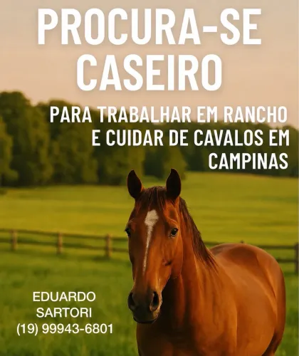 Caseiro pra trabalhar no rancho e tratar cavalos 