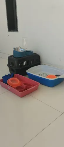 Kit completo para gato