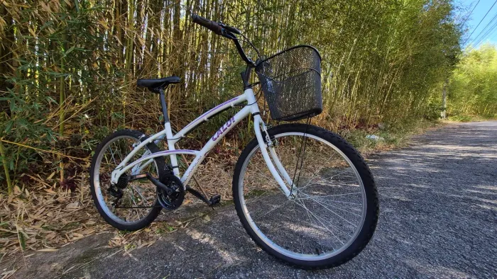 Bicicleta Caloi 100 Alumimun