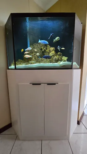 Aquário 460 litros com móvel e acessórios