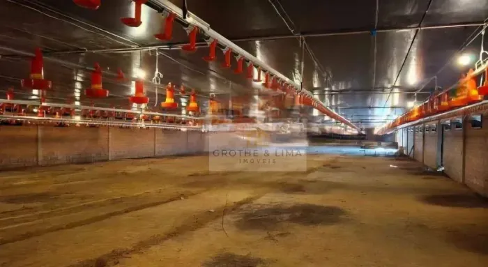 GRANJA ATIVA À VENDA PORTEIRA FECHADA Tietê-SP
