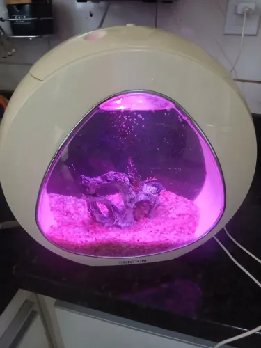 Aquario