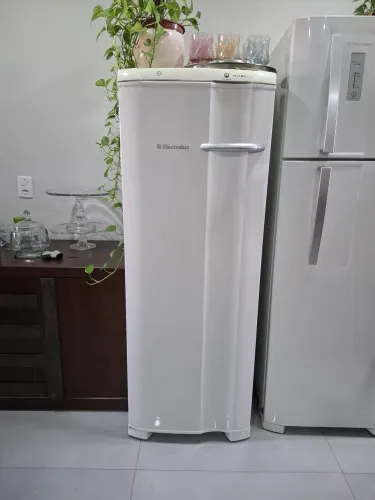 Frezzer Electrolux FE 22