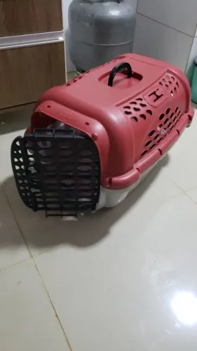 Caixa Transportadora Pet N.4
