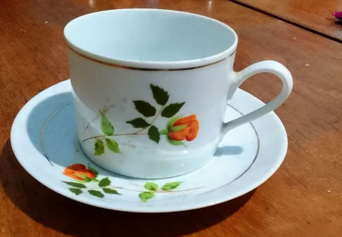 Xícara e Pires porcelana Real para chá