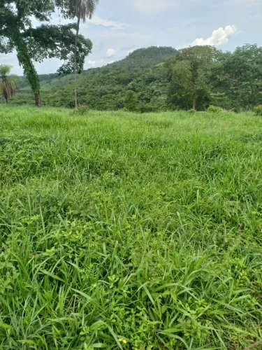 Fazenda a Venda Aparecida do Rio Negro
