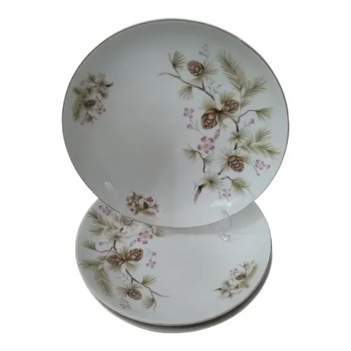 5 Pratos Fundos Estilo Coupe Porcelana Steattita Pinhas e Flores Anos 70