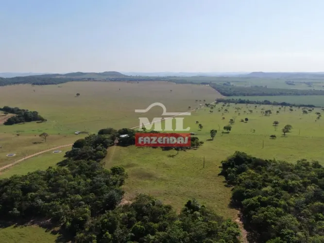 Fazenda Espetacular de 430 Alqueires em Itapaci - GO.
