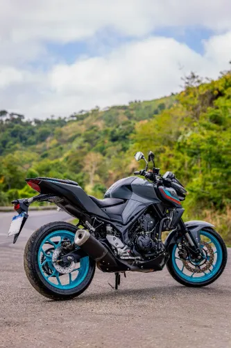 MT 03