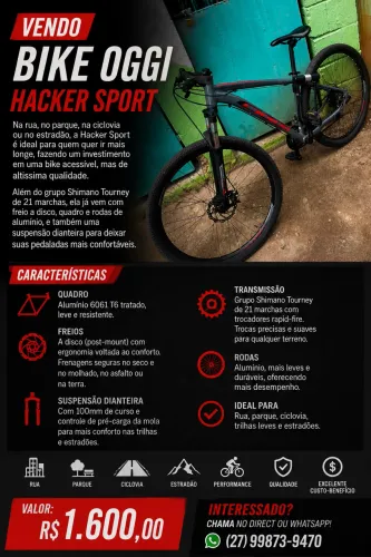Bicicleta Aro29