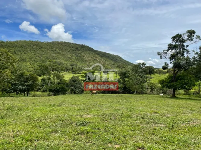 Fazenda 56 Alqueires (271 hectares) Santa Cruz de Goiás - GO
