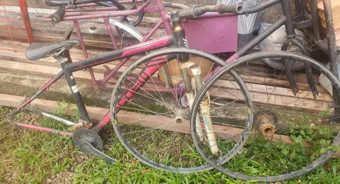 Bike 29