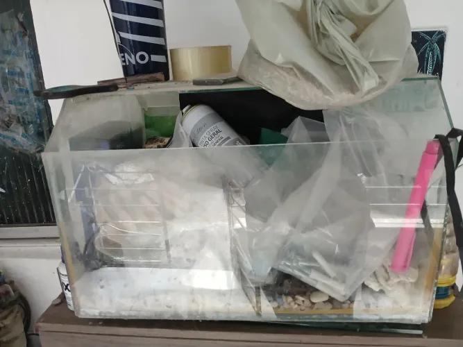 Aquário ideal para tartarugas