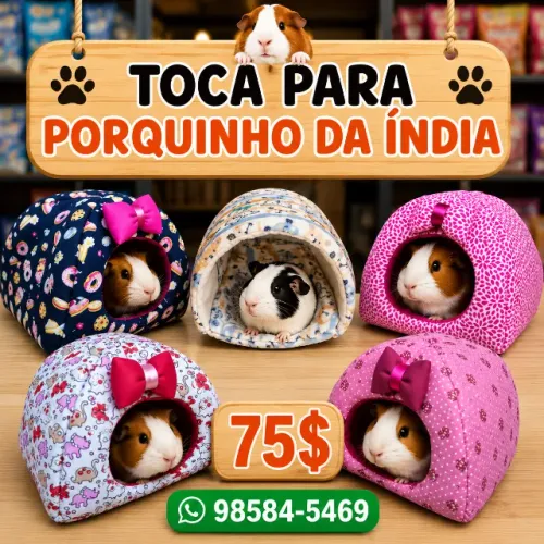Toca para porquinho da india