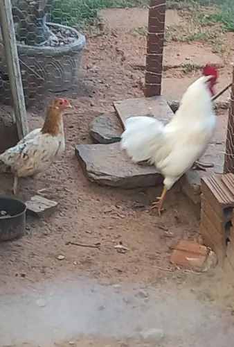 Casal de garnize