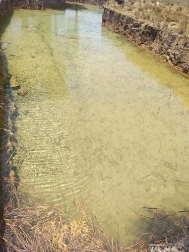Terreno para chácara, apenas 28 KMS de Boa Vista