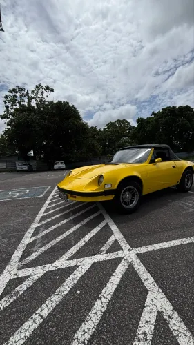 Puma GTS 1.6 Conversivel 8V Gasolina 2P Manual 1980