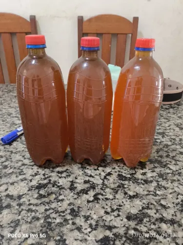 Mel de abelha puro