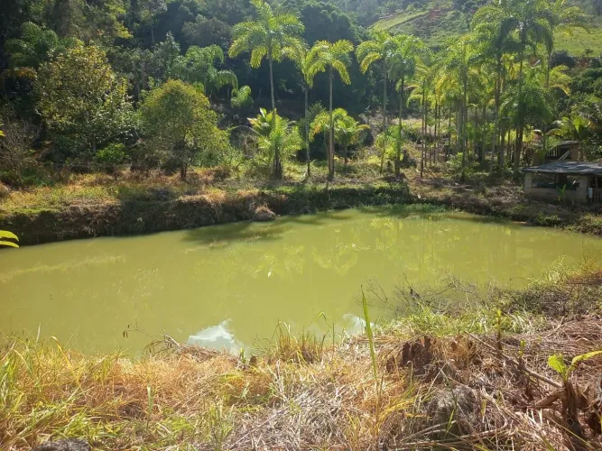 Sítio Viana 2 Alqueires 